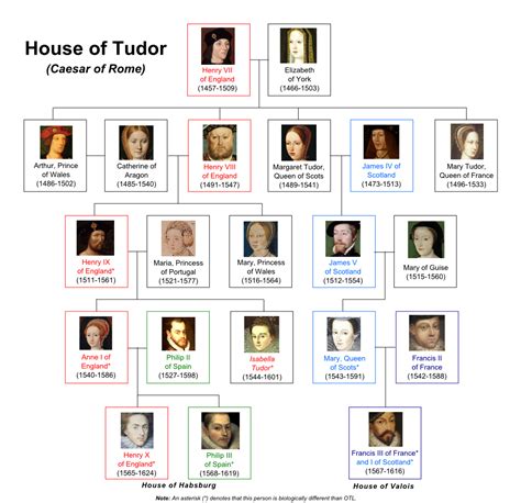 who started the tudor dynasty|house of tudor dynasty.